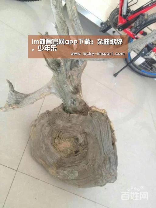 im体育下载