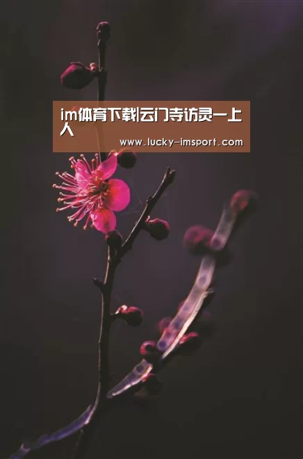 im体育下载