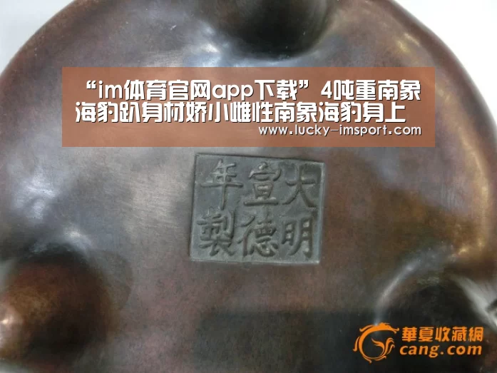 “im体育官网app下载”4吨重南象海豹趴身材娇小雌性南象海豹身上交配(图)(图1) im体育下载